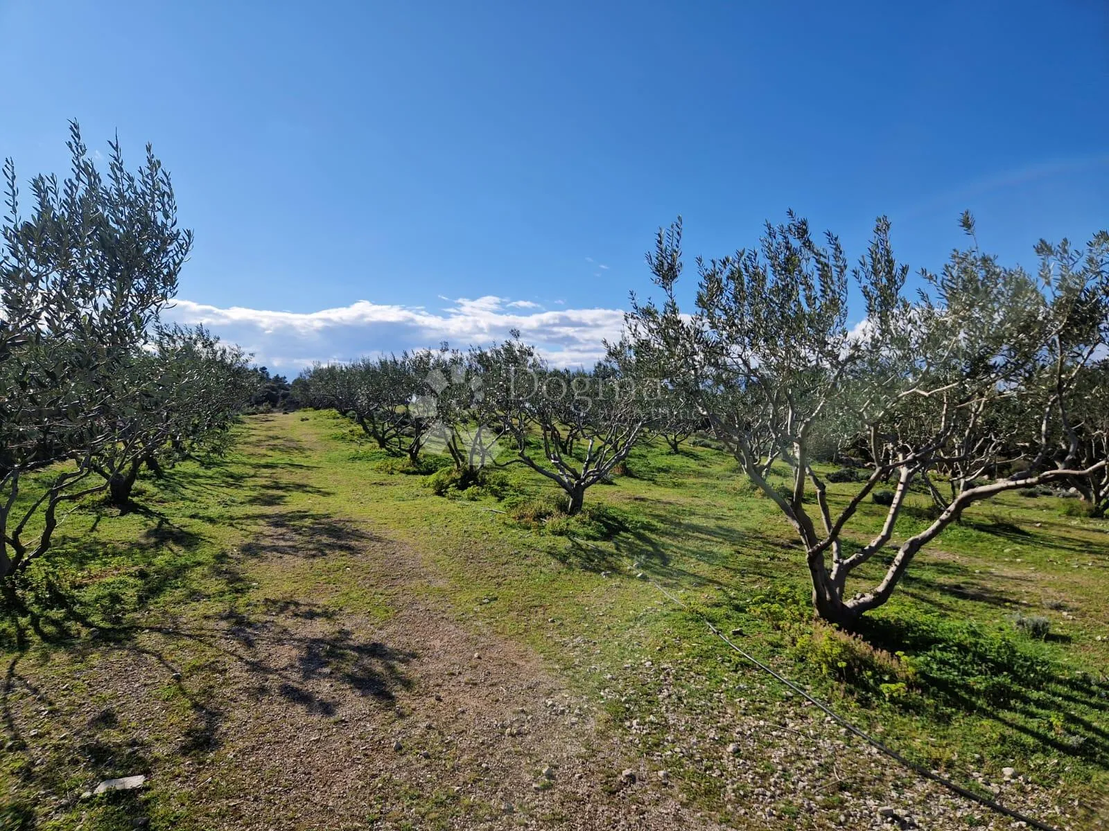 donji humac, zemljište za izgradnju opg-a, 10 630 m2, pogled - slika 6