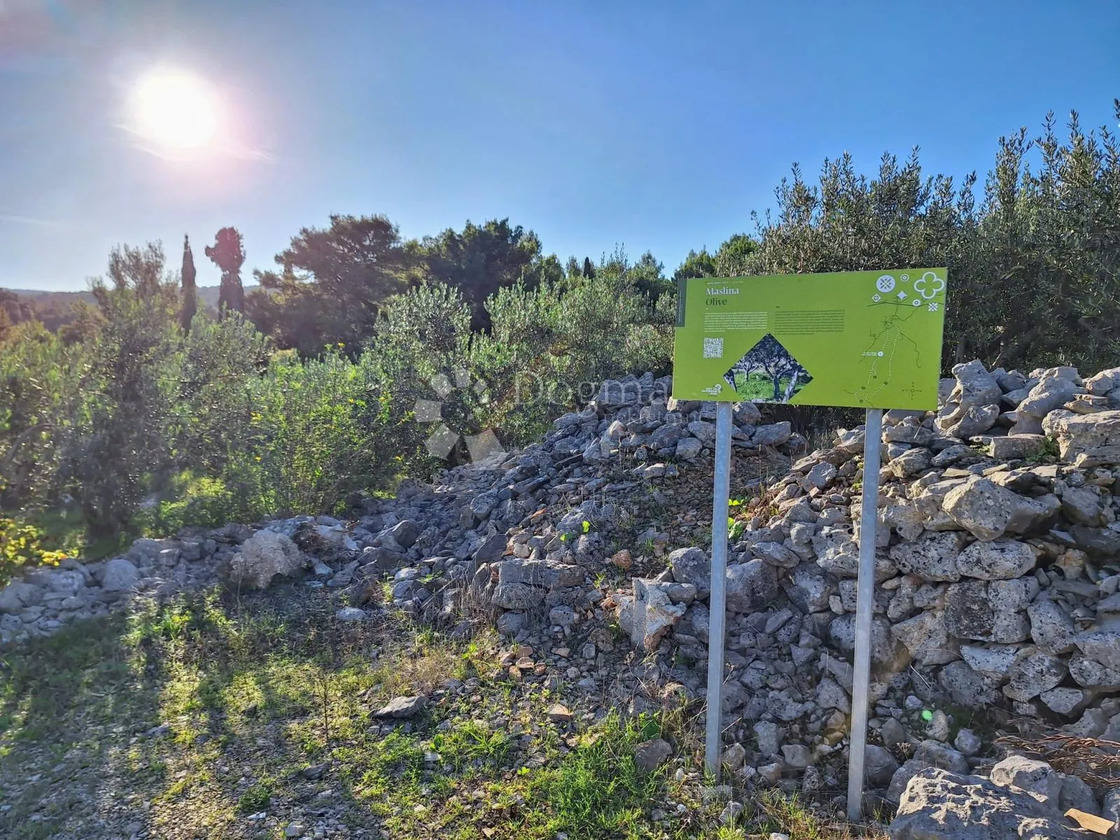 poljoprivredno zemljište na odličnoj lokaciji – mirca, brač - slika 9