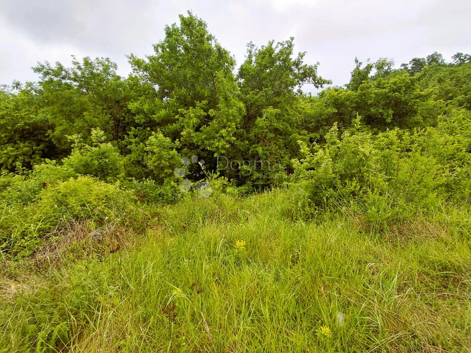 Građevinsko zemljište 566 m2 - Gočan Barban