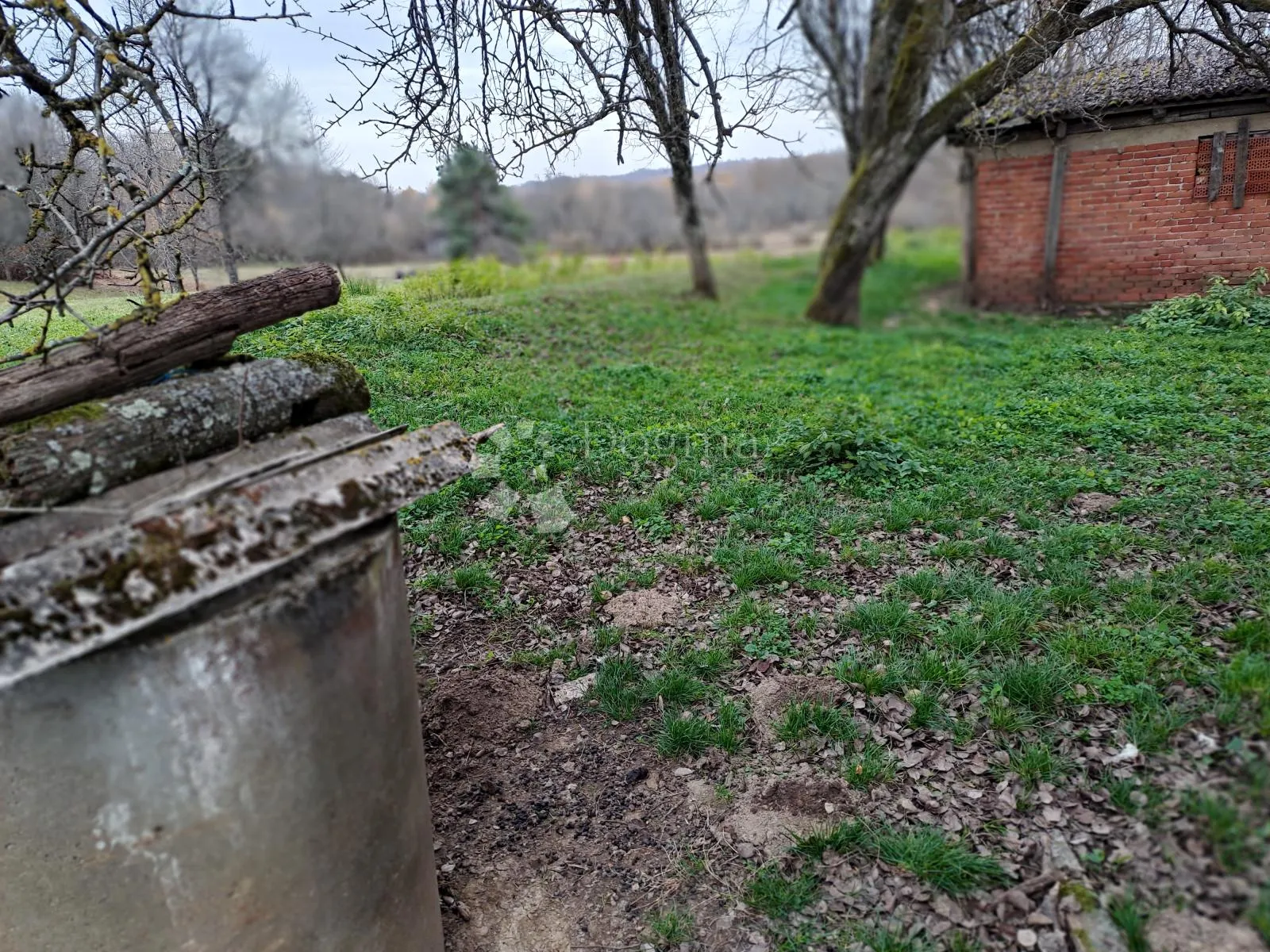 posjed s bunarom i dosta šume - slika 12