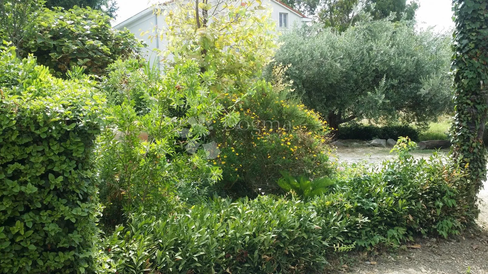 samostojeća kuća s velikom okućnicom – kaštel štafilić - slika 39
