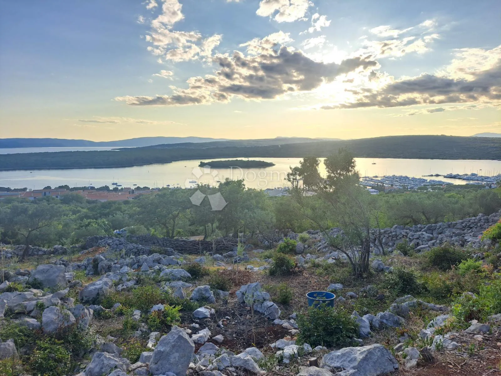 vaš kutak mediterana – maslinik s pogledom na more - slika 2