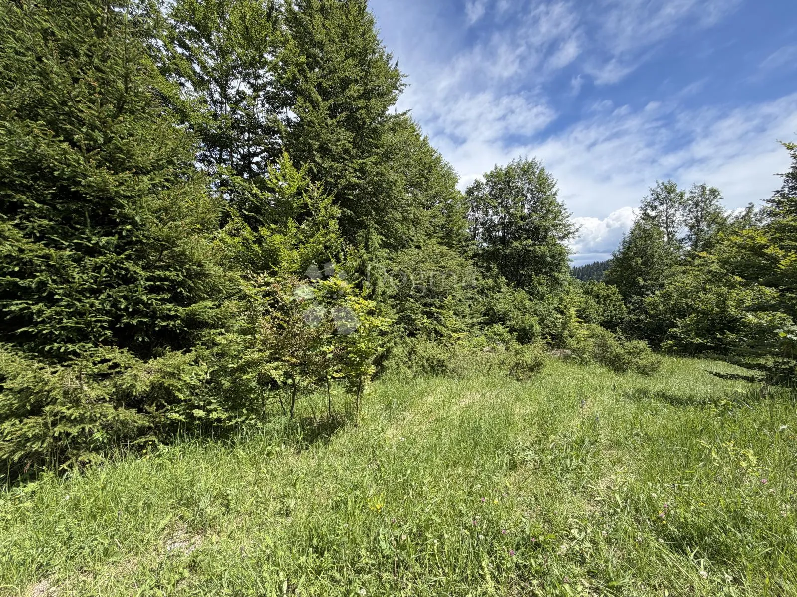 GORSKI KOTAR STARI LAZ, 3970m2 djelomično građevinsko - Stari Laz, Ravna Gora