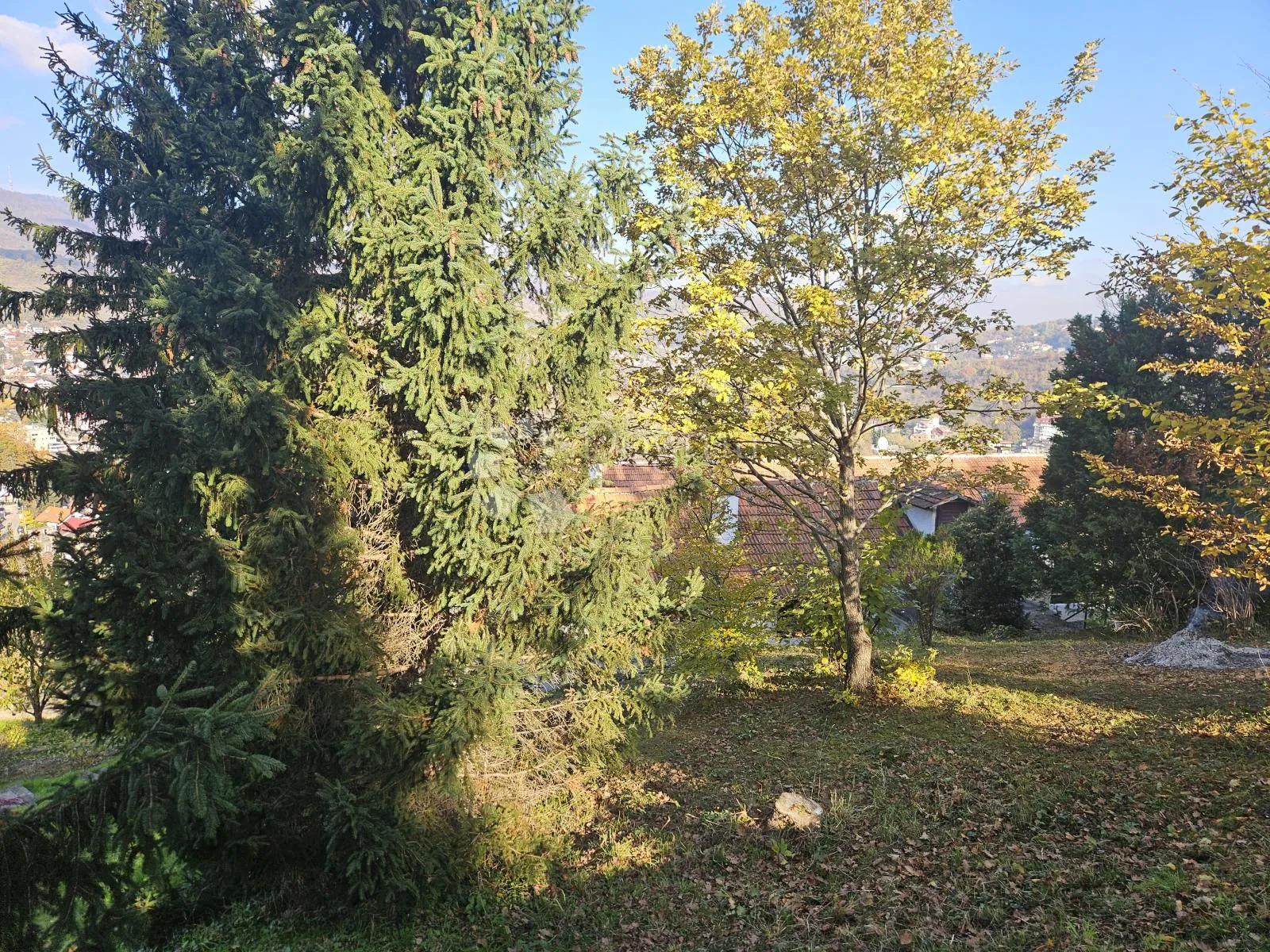 pogled govori više od riječi - slika 27