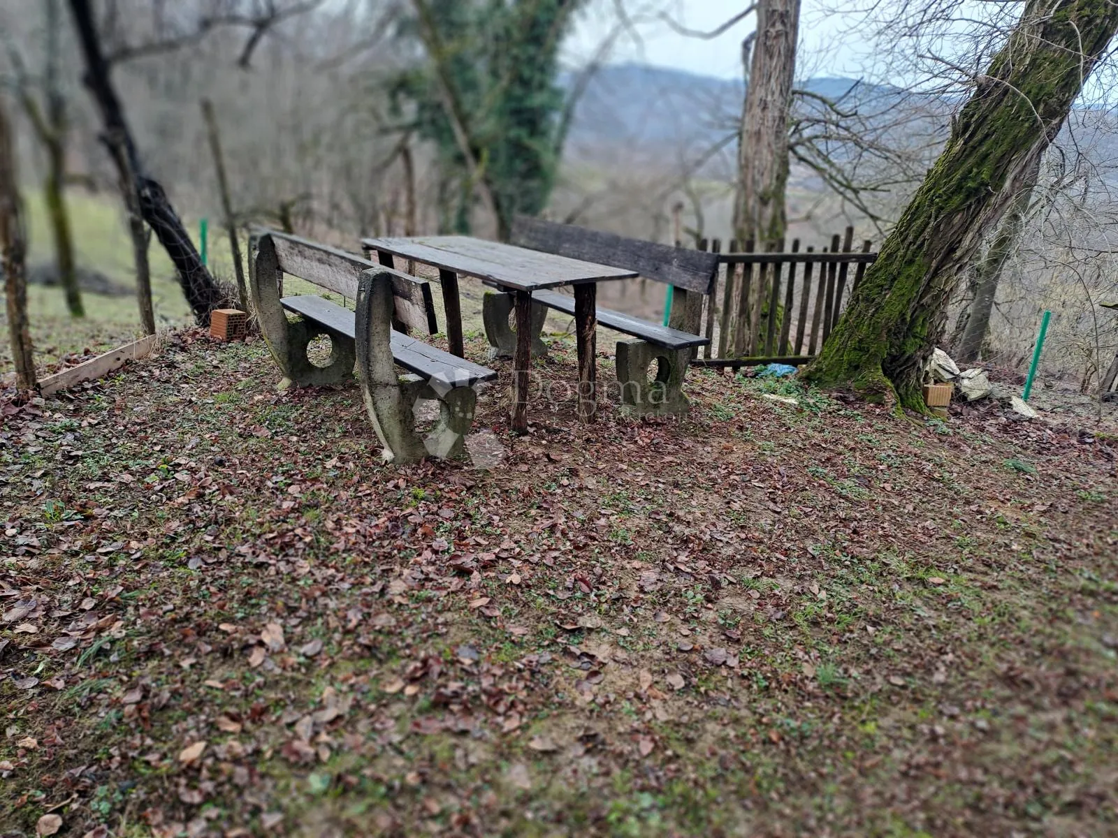 povoljna viksa na vrhu brda - slika 7