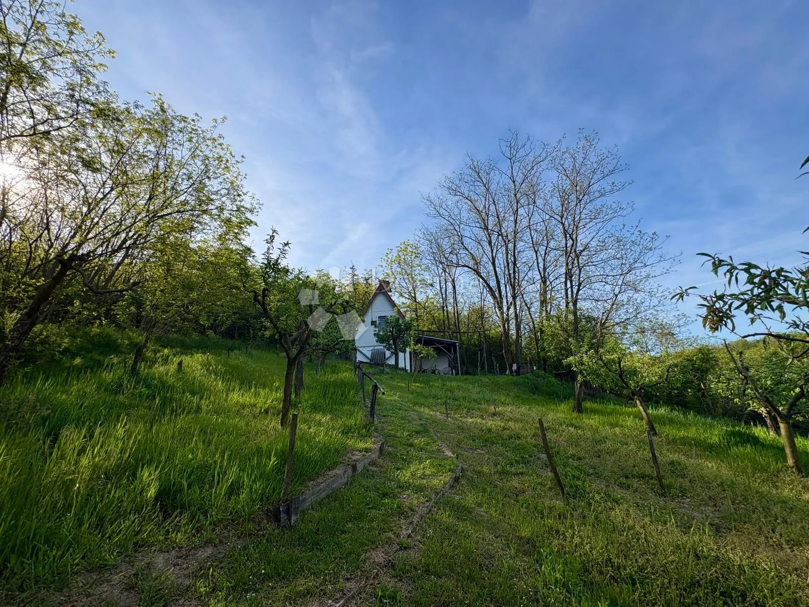 oaza mira i privatnosti – vikendica s vinogradom i 3.797 m² okućnice - slika 4