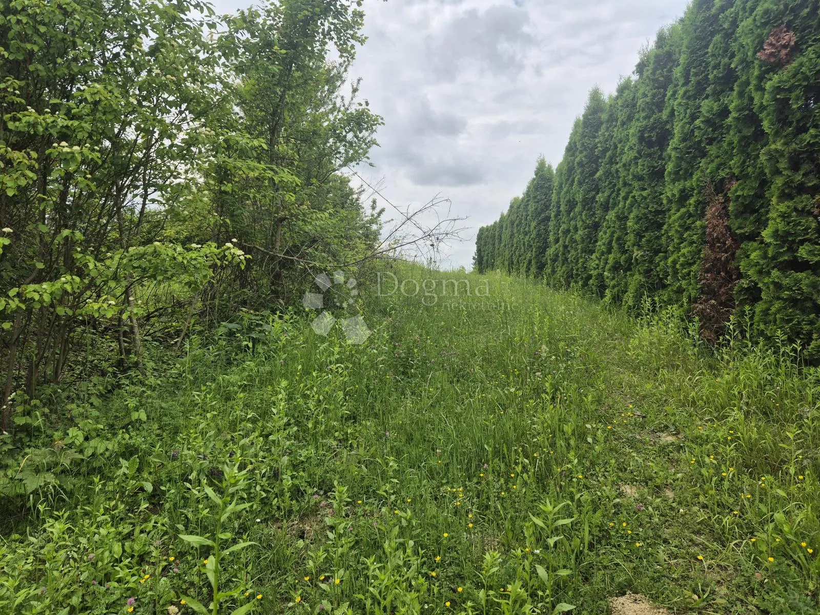 građevinsko zemljište 1.543m² na bregu iznad sv. križa začretja! - slika 3