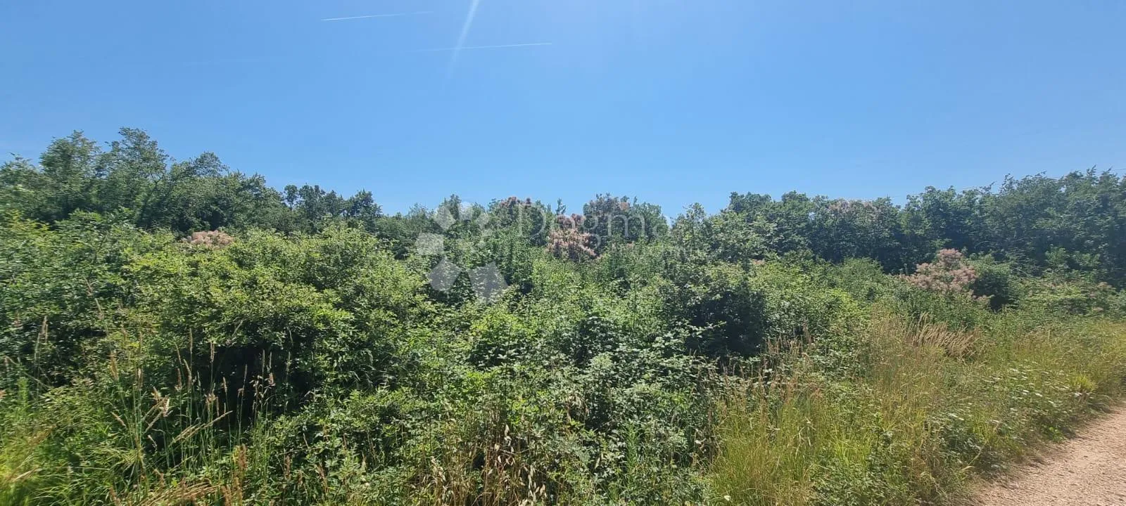 poljopreivredno zemljište u taru - slika 4