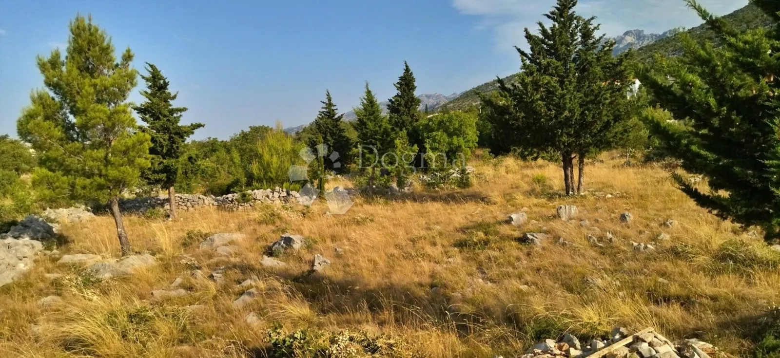[oaza blizu mora] zemljište starigrad 7500m2 - slika 4