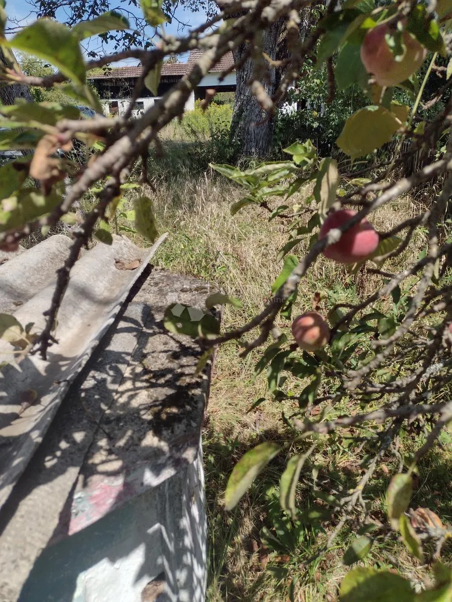 11ha, bunar, besplatni vodovod... - slika 27