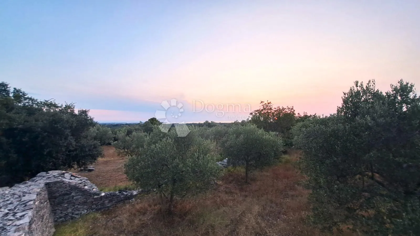 maslinik sa pogledom na more!! - slika 4