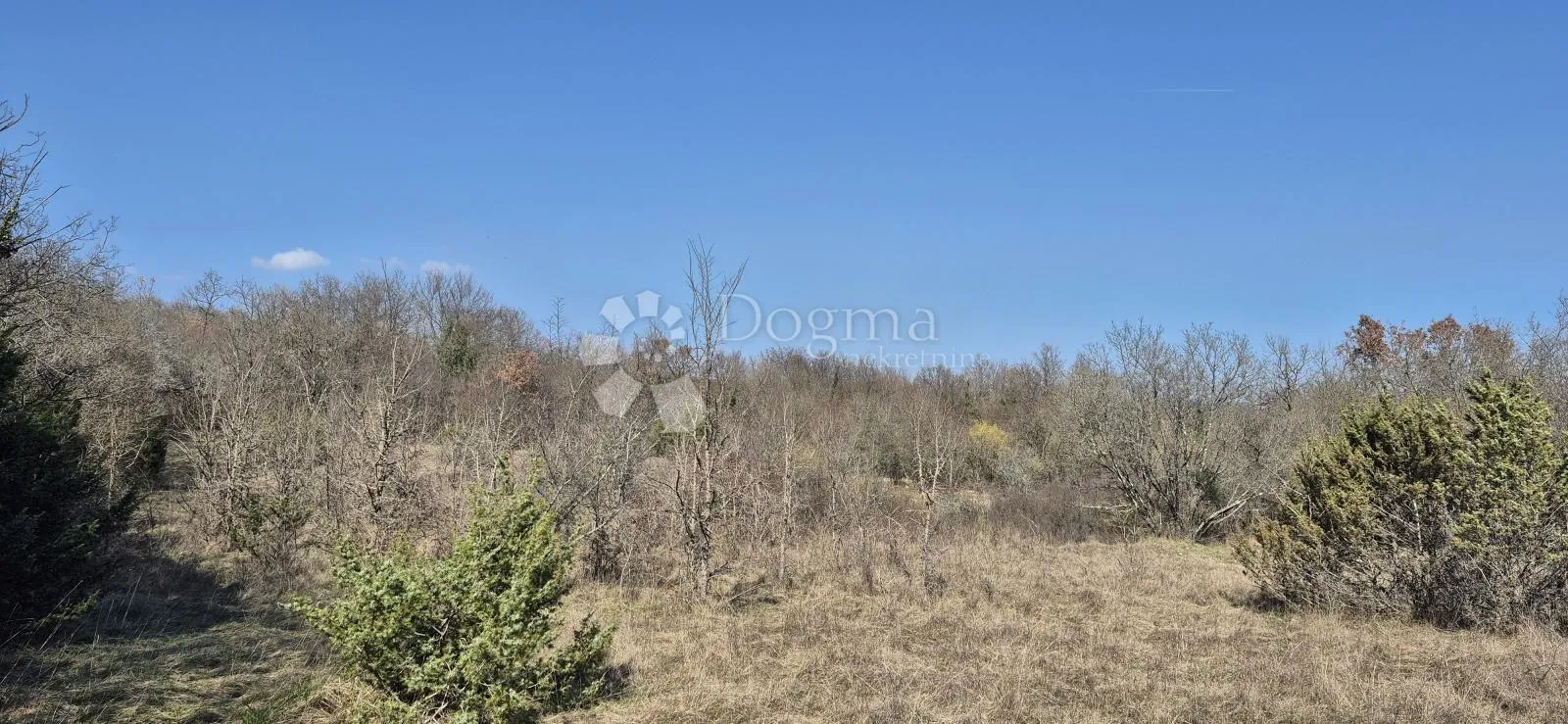 poljoprivredno zemljište površine 7962 m2 - slika 6