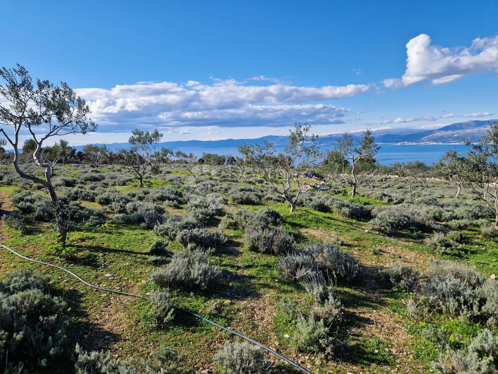 donji humac, zemljište za izgradnju opg-a, 12555 m2, pogled - slika 6
