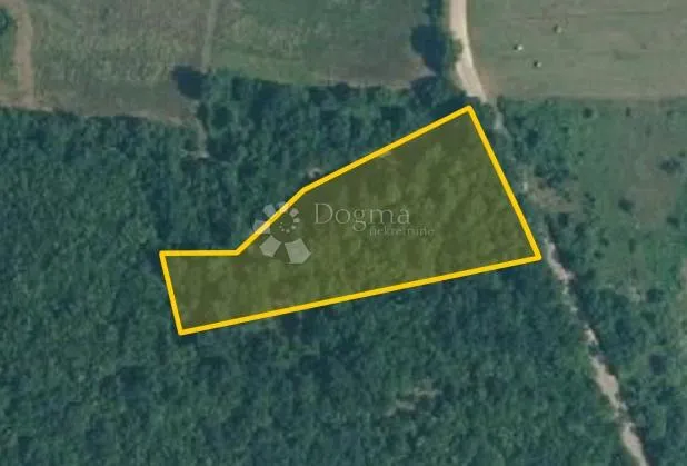 Poljoprivredno zemljište, Fuškulin 4750m2 - Fuškulin, Poreč