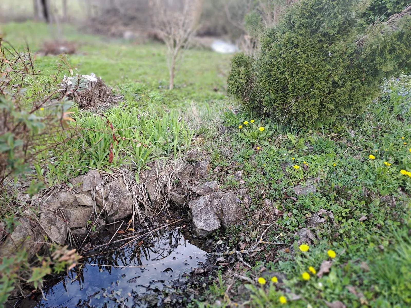 prekrasan pogled i okućnica - slika 16