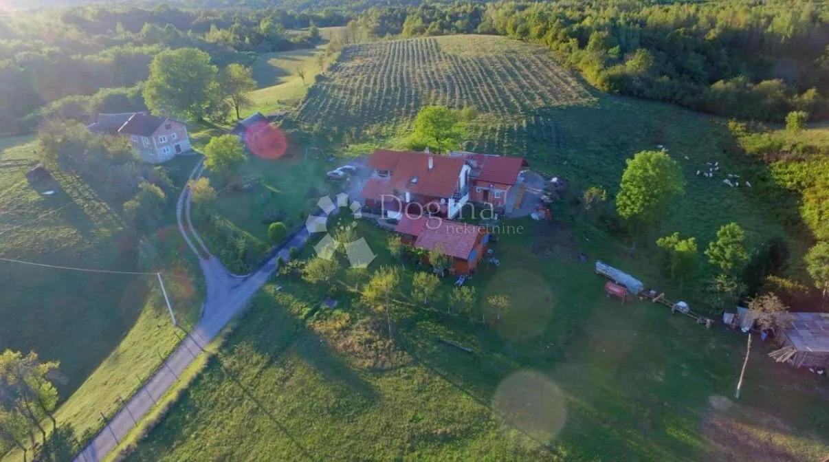 imanje kuće pomoćni objekti i zemlja 10000 m2 - slika 4