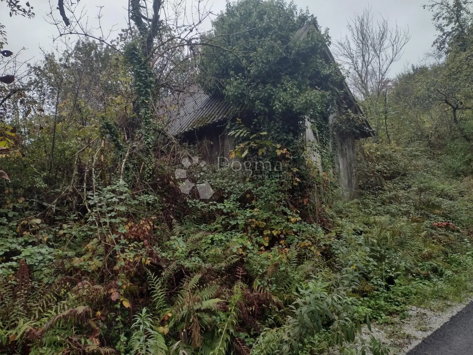 6.5 ha u divljini s mogućnošću kupnje još zemlje - slika 3