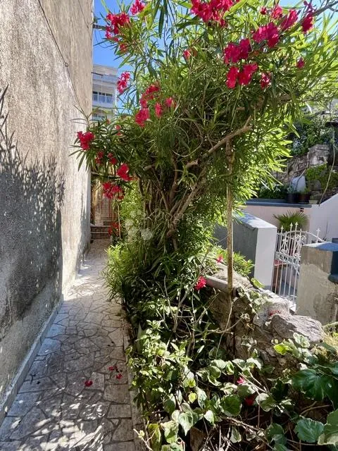 belveder,2s+db,62m2,prizemlje sa okućnicom - slika 18