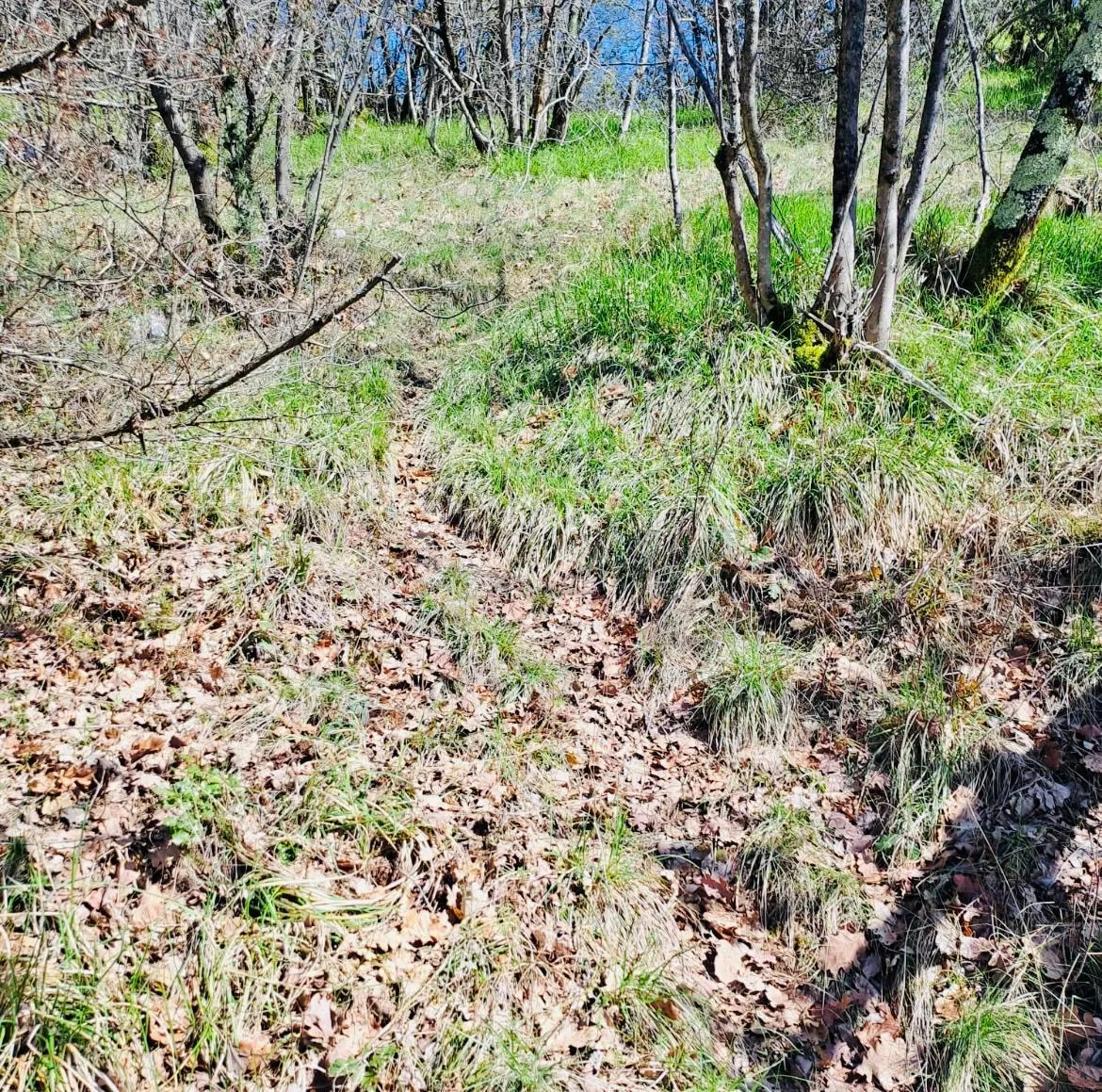 poljoprivredno zemljište – 7.399 m² – kalac,prodaja! - slika 3