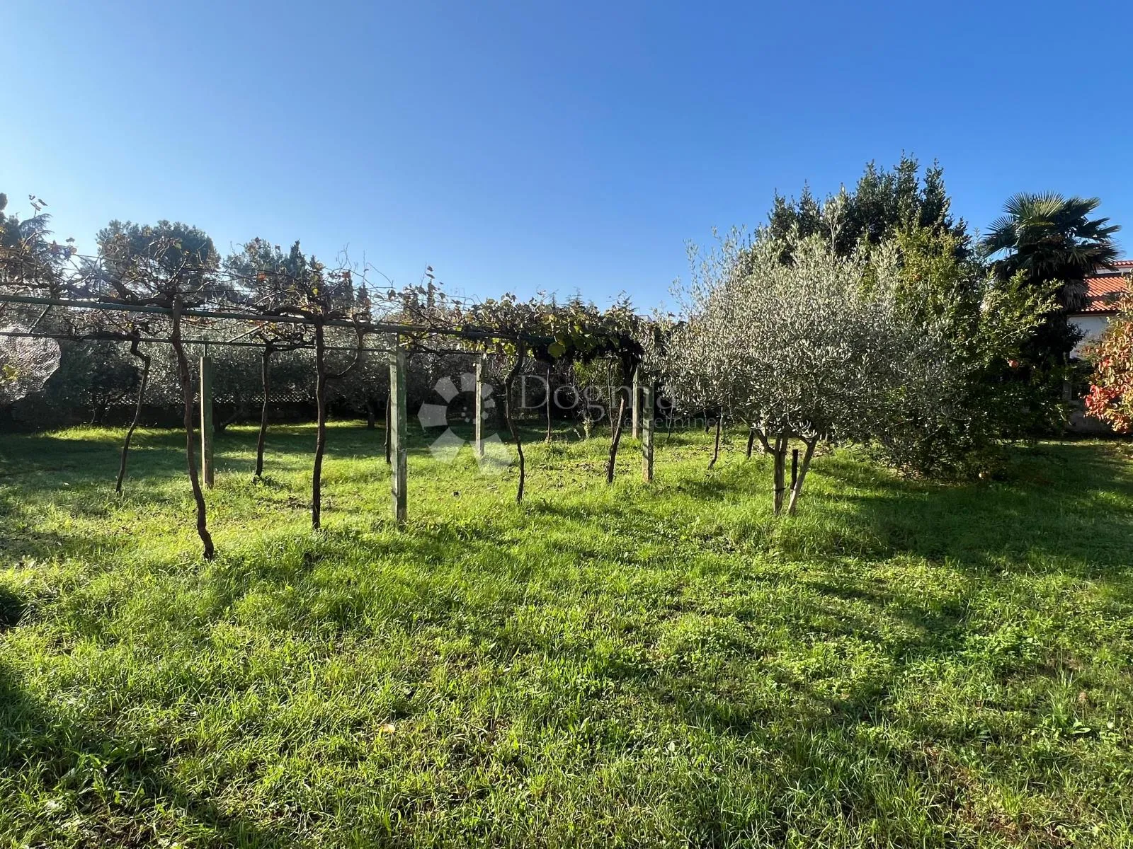 građevinsko zemljište s kućom, centar - slika 2