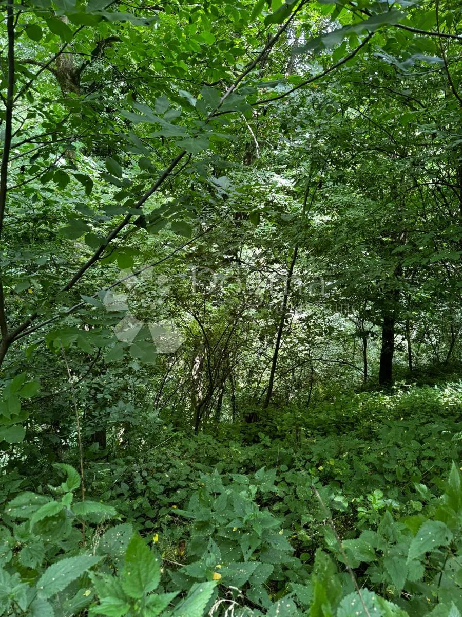 zemljište na zelenoj bilogori s potencijalom za vaš projekt - slika 6