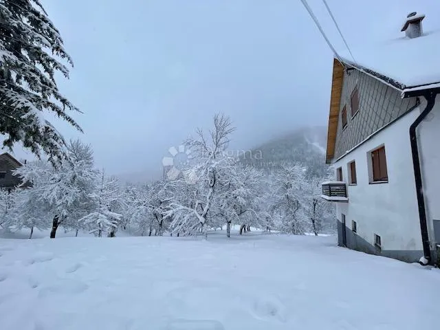 ravna gora, kuća s 4.500m2 okućnice - slika 21