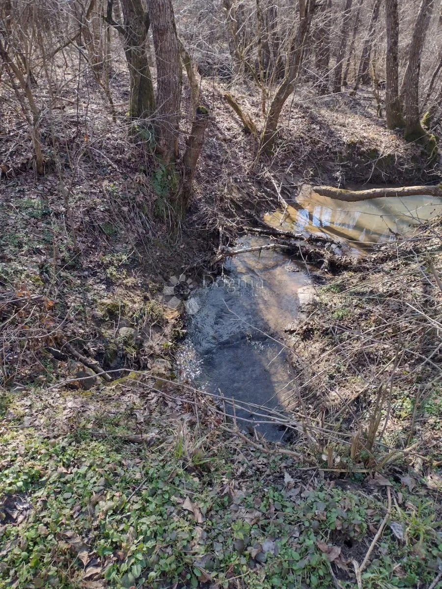 zemljište odlično, kuća loša, okolica daleko od bilo čega urbanog - slika 2