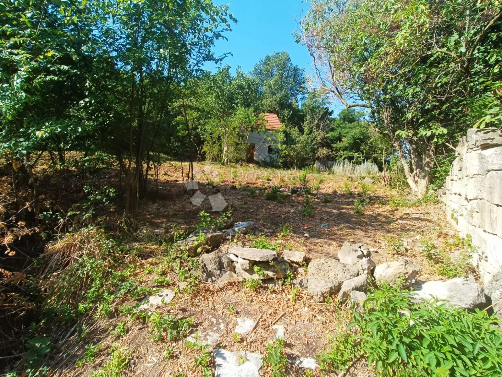 seosko imanje - kamena kuća za adaptaciju, glavice - slika 6