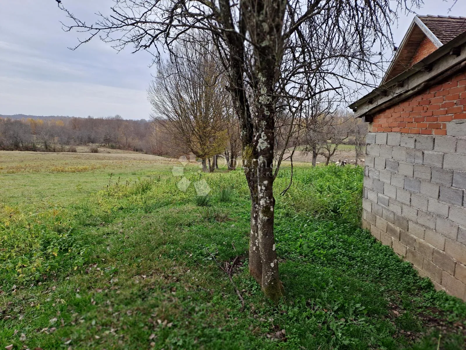 posjed s bunarom i dosta šume - slika 9