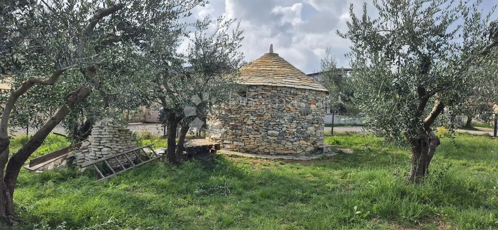 Maslinik sa kamenim kažunom površine 15 m2, 1,5 km od mora - Šegotići, Marčana