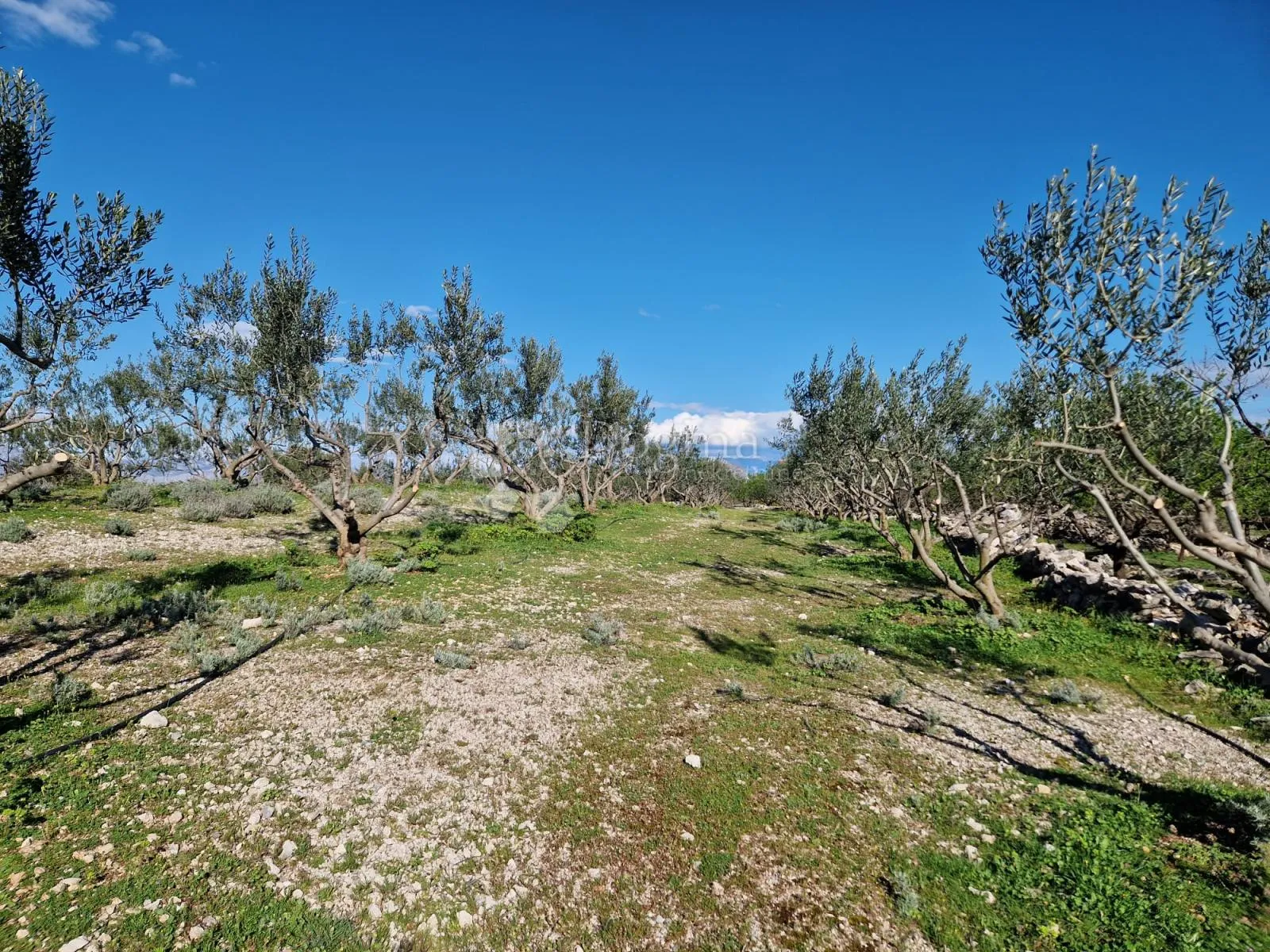 donji humac, zemljište za izgradnju opg-a, 10 630 m2, pogled - slika 7