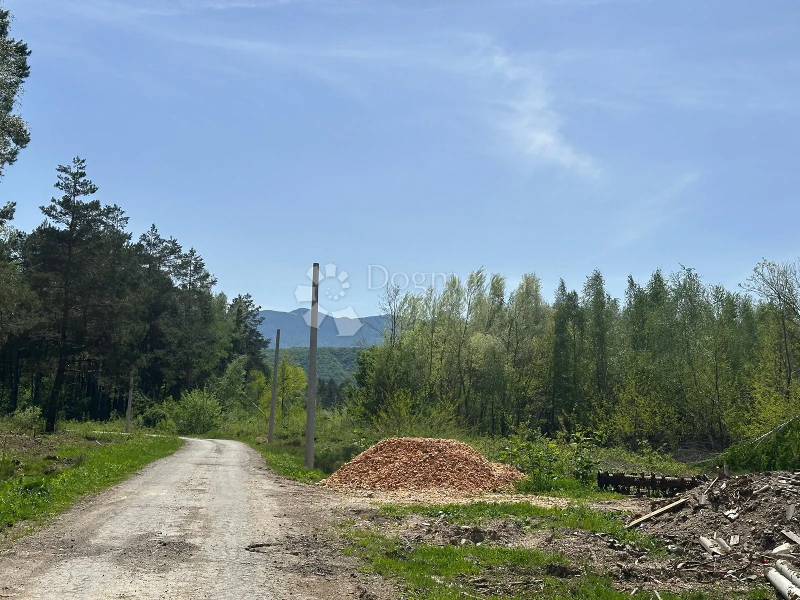 građevinsko zemljište u dubini divoselske šume - slika 9