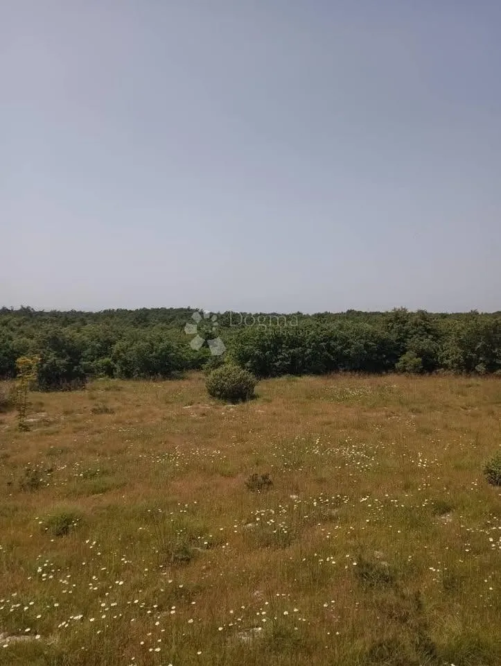 poljoprivredno zemljište 47760m2 - krmed - slika 7
