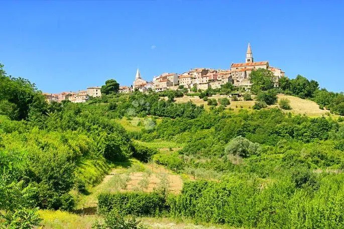 Istra , Buje zemljište