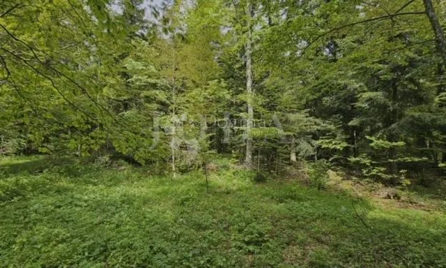 građevinsko zemljište u bribirskoj šumi - slika 2