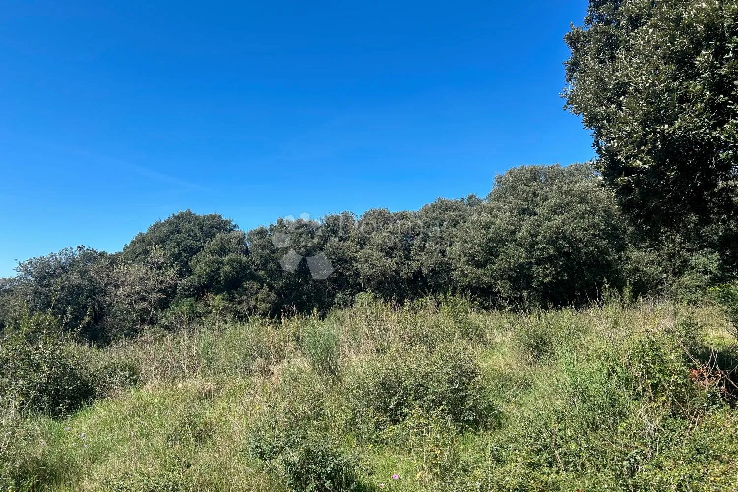 rovinj – bajkovito zemljište, voda na terenu - slika 6