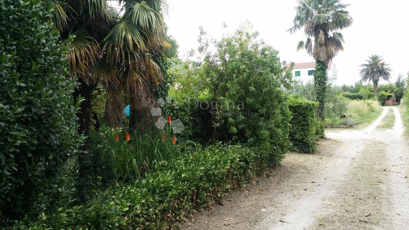 samostojeća kuća s velikom okućnicom – kaštel štafilić - slika 33