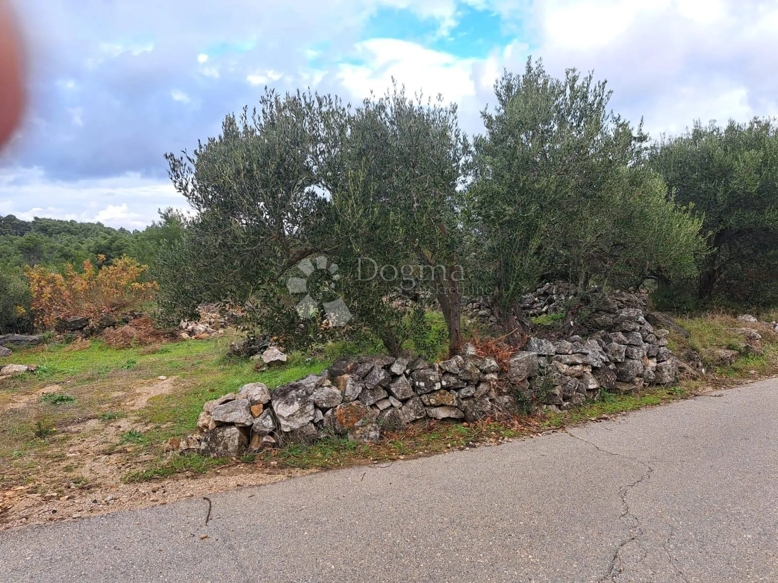 poljoprivredno zemljište hvar-jelsa 9500m2 - slika 3