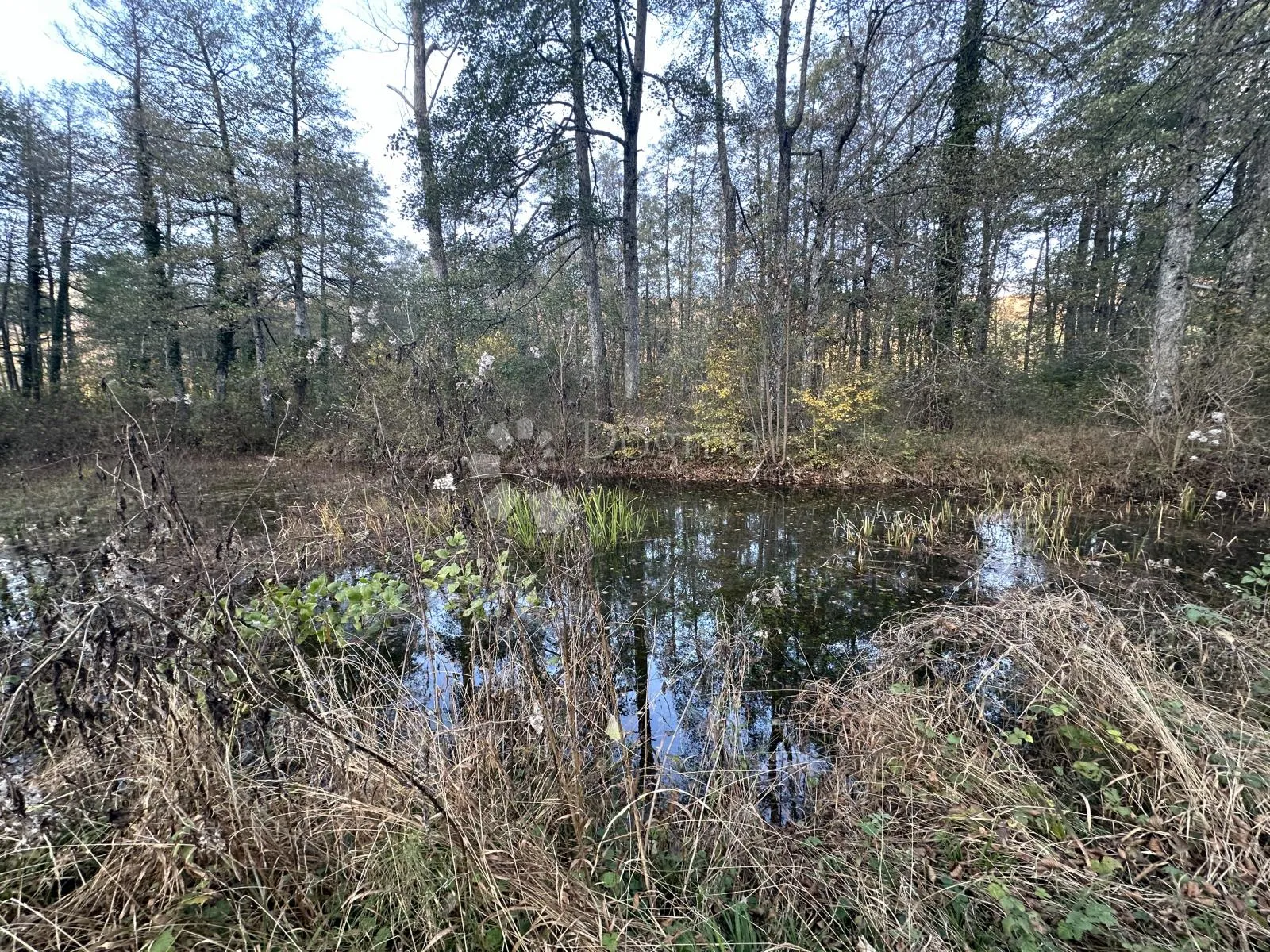 brušane 7300 m2 - turistička namjena - slika 5