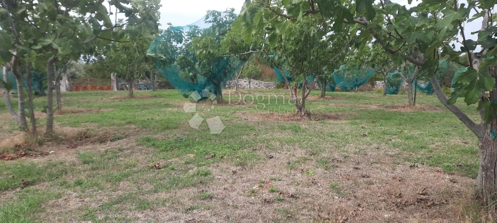 bratulići – građevinsko zemljište 1.200 m2 - slika 2