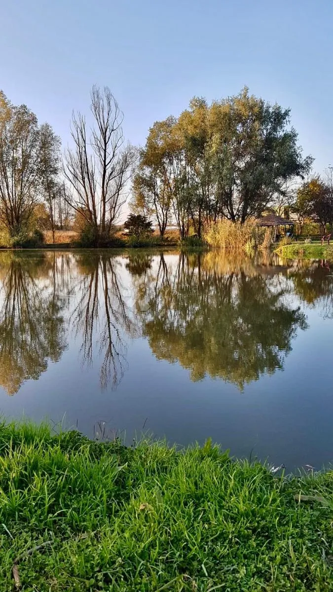 atraktivno imanje s ribnjakom i turističkim potencijalom - slika 69