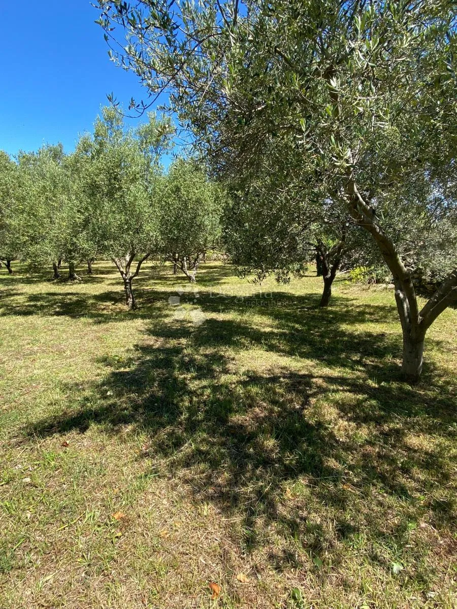 vaš privatni dašak mediterana nadomak centra peroja i plaže - slika 28