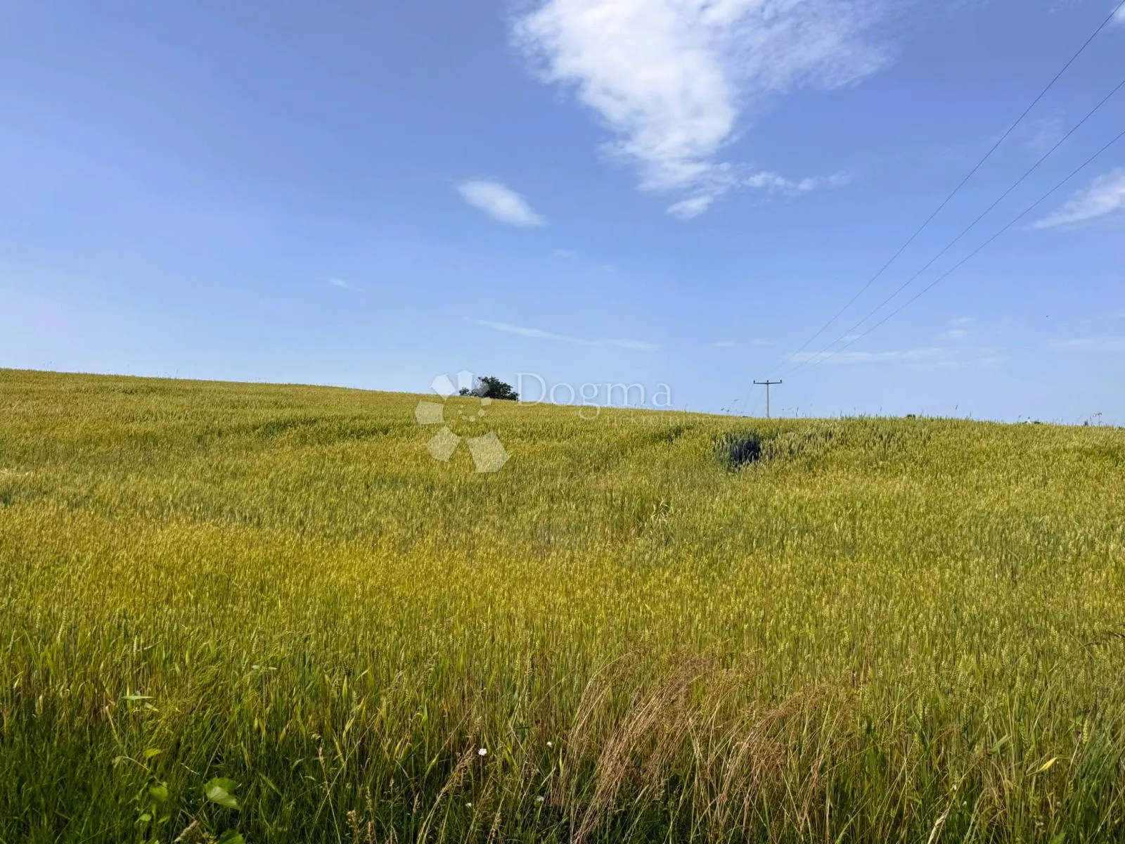 investicijska prilika: 9694 m² zemljišta i kuća u izgradnji - slika 6