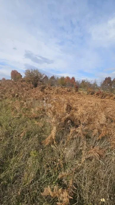 mješovito zemljište gospić 16312 m2 - slika 9