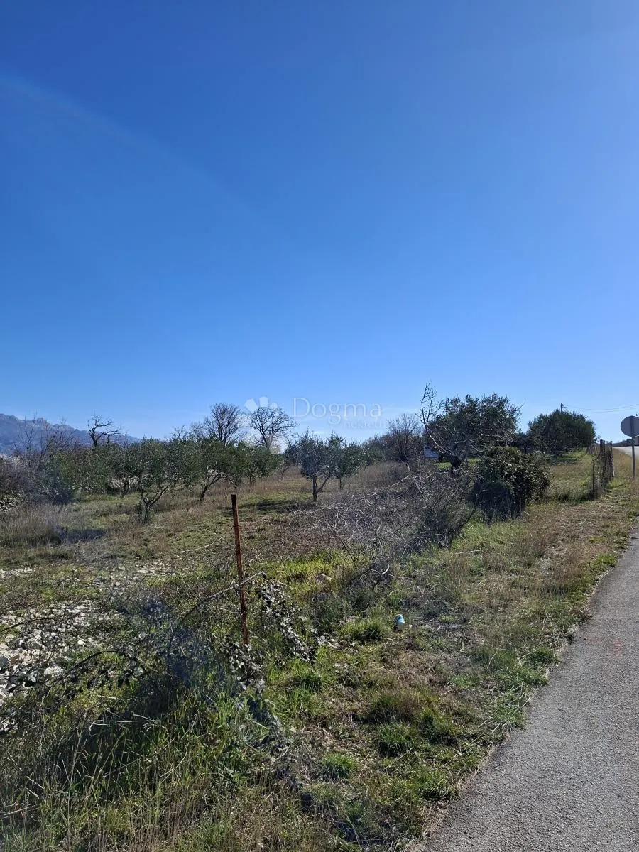 građevinsko zemljište -1950m2-vinjerac - slika 3