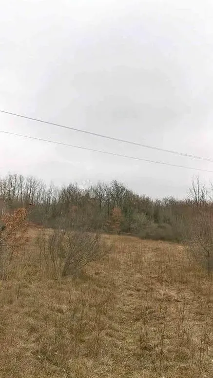 poljoprivredno zemljište 2989m2 - slika 2
