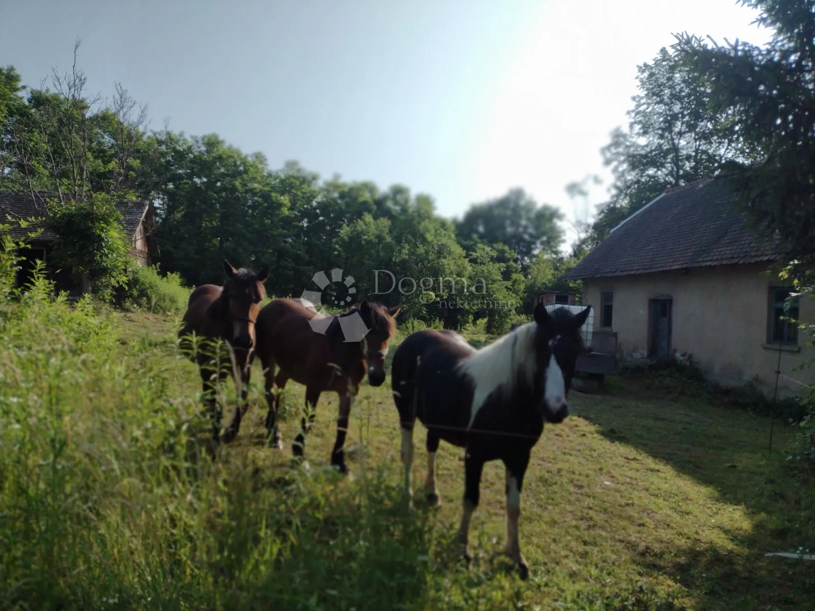 blatuša - 11.2ha - potok, konji !!! - slika 6
