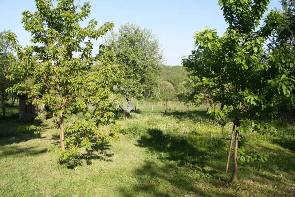 savršena kuća za odmor u srcu prirode - slika 11