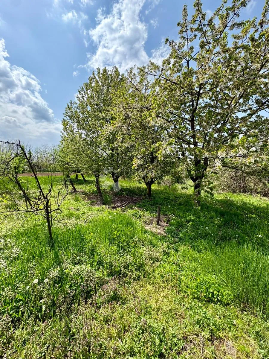 plac 800m2 vukovar - mitnica, idealno za kuću - slika 4