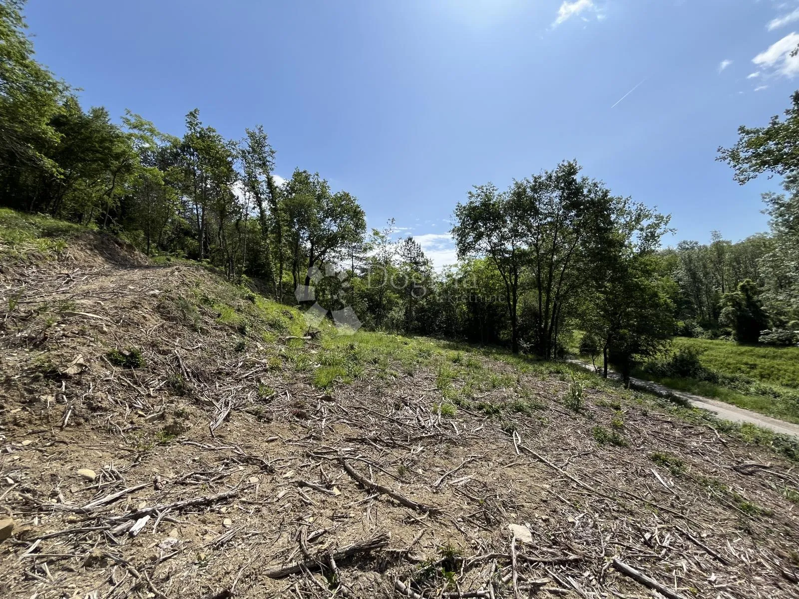 motovun okolica, zemljište za kamp (t3) - slika 2